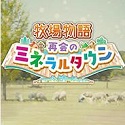 蜘蛛池需要多少ip
