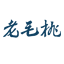 站群SEO操作技巧与实战指南