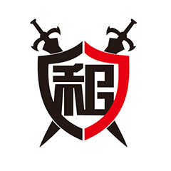 站群多IP服务器搭建指南提升网站SEO效果的关键策略