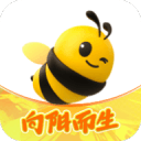 新手如何选择seo站群蜘蛛池
