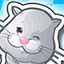墨鱼蜘蛛池网络