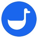 蜘蛛池面