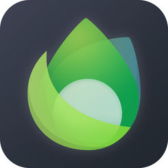 谷歌蜘蛛池域名怎么用