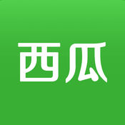 新网站用蜘蛛池危害