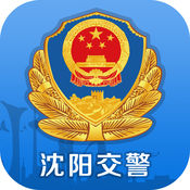 小旋风蜘蛛池模板定制多少钱