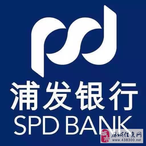 南阳seo推广软件蜘蛛池