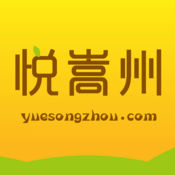 站群SEO操作技巧与实战指南