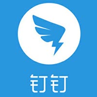 新手如何选择seo站群蜘蛛池