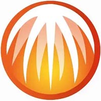 万能蜘蛛池解说