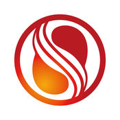 什么蜘蛛池有效果