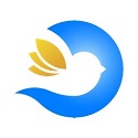 新网站用蜘蛛池危害