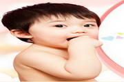 免费蜘蛛池seo 广告