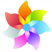 快收蜘蛛池出租