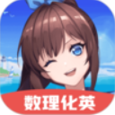 云蜘蛛池出租