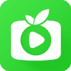 站群SEO操作技巧与实战指南